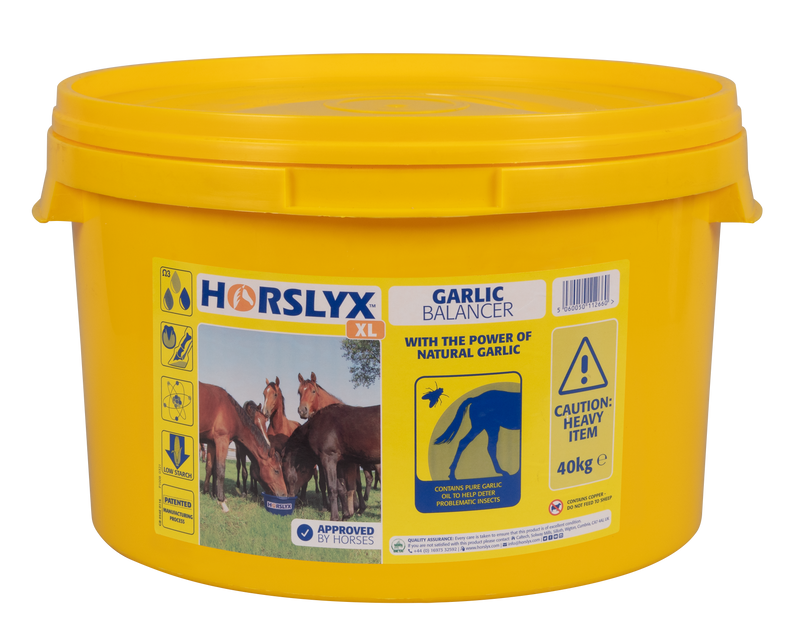 Horslyx Garlic Balancer