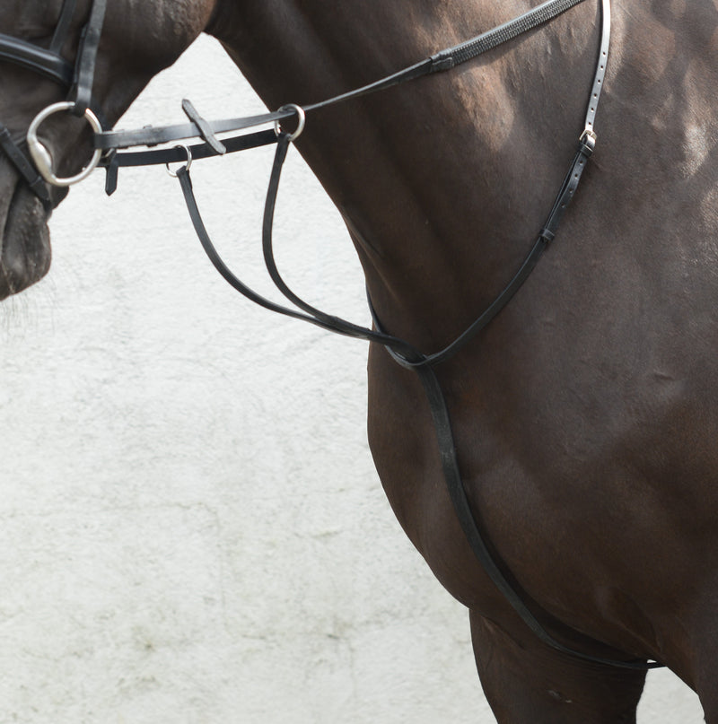 EquiSential Running Martingale