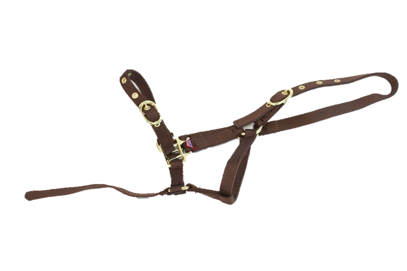 Equisential Nylon Headcollar