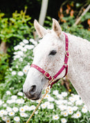 Equisential Nylon Headcollar