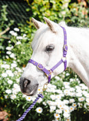 Equisential Nylon Headcollar