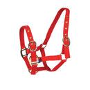 Equisential Nylon Headcollar