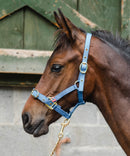 Equisential Nylon Headcollar