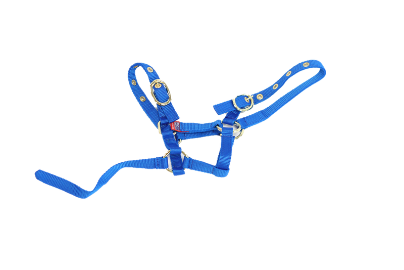 Equisential Nylon Headcollar