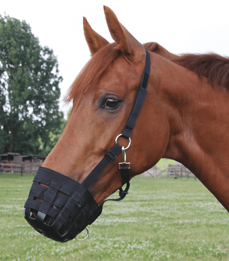 Grazing Muzzle