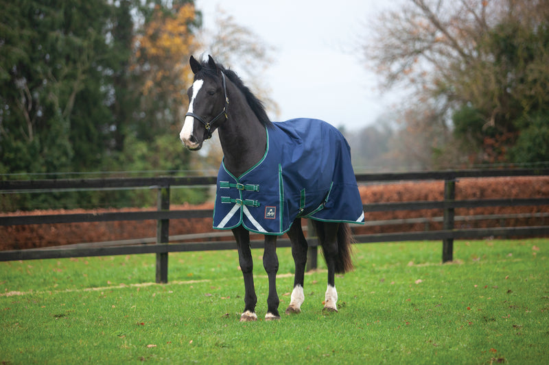 Keadeen Standard 100g Light Turnout Rug