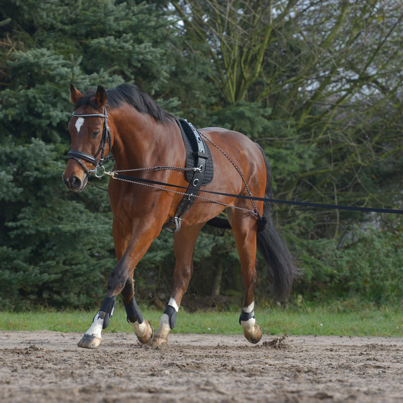 Lunging System