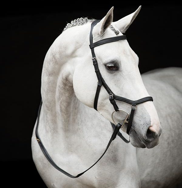 Horseware Rambo® Micklem® Original Competition Bridle - Hoofprints Innovations 